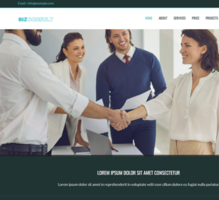 BizConsult